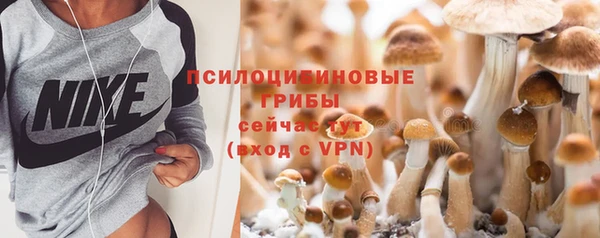 прущие крисы Вуктыл