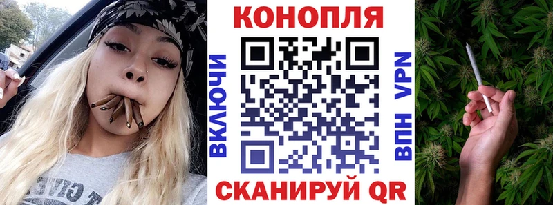 купить наркоту  Вилючинск  Конопля гибрид 